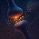 Endocannabinoid System: How Your Body Brews Its Own “Internal Cannabinoids”