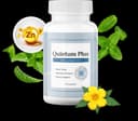 Quietum Plus Review: Uncovering the Natural Path to Better Hearing and Tinnitus Relief